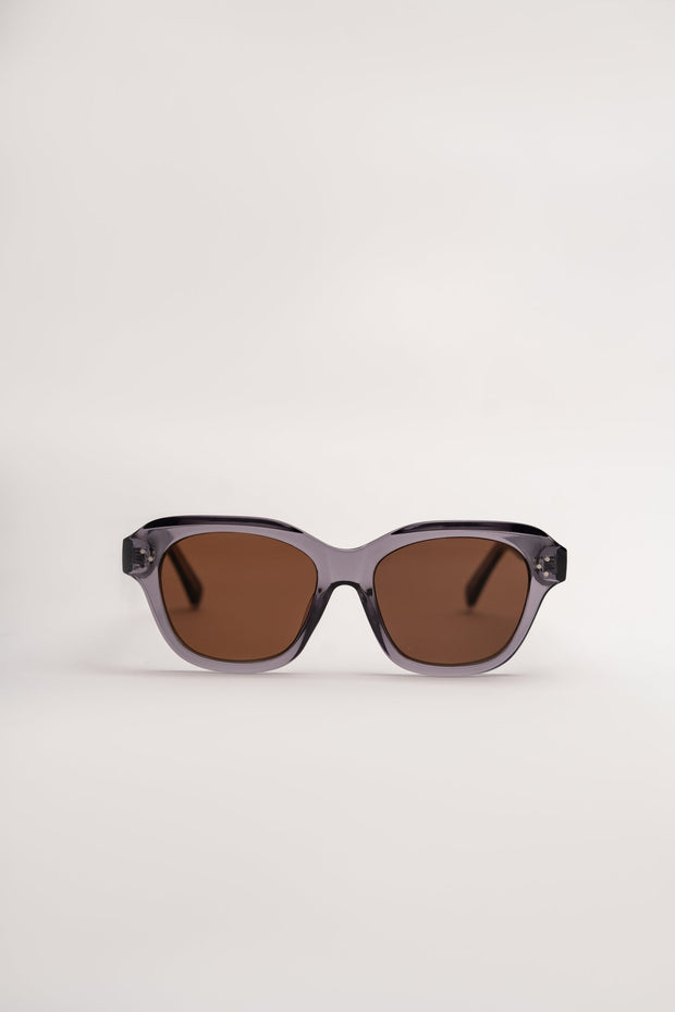 Black Frame Tinted Shades Sunglasses