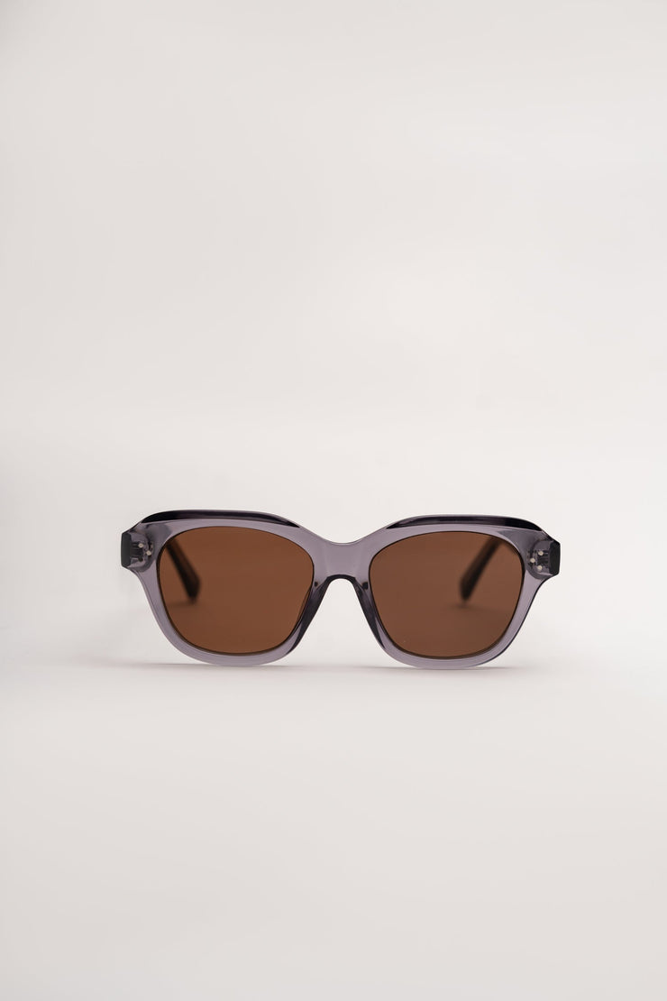 Black Frame Tinted Shades Sunglasses