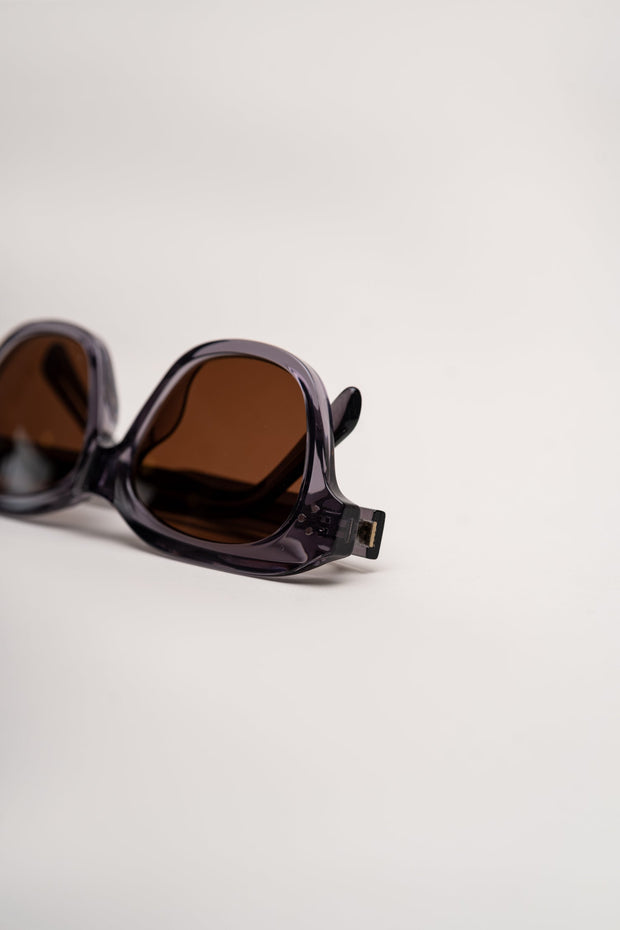 Black Frame Tinted Shades Sunglasses