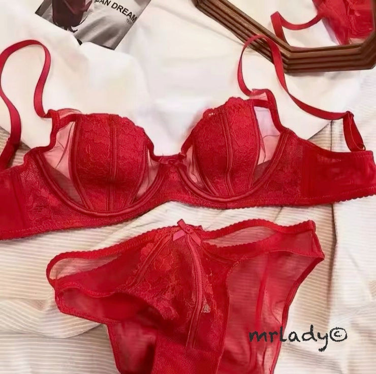 SEXY NET WIRED BRA SET